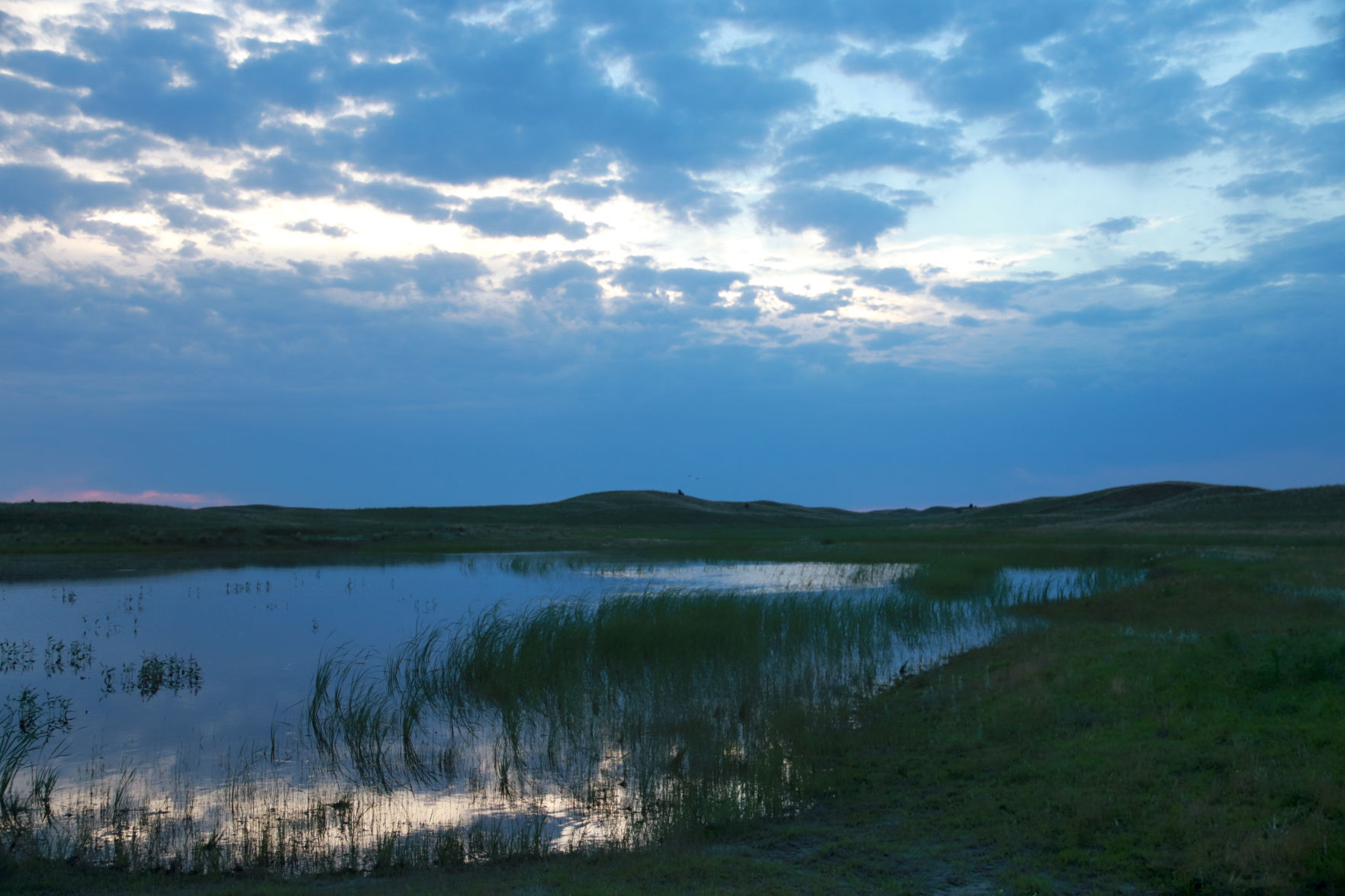 Sandhills